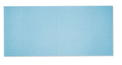 Sandpaper for delta sander Festool STF Granat 46X178 mm P80 10 units