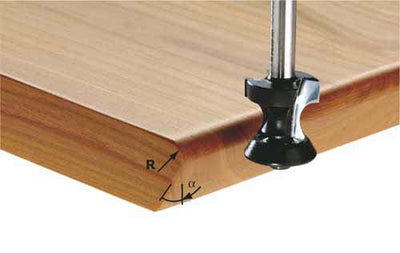Rounding-sloping mill 6/19/61.5 mm with bearing Festool 491134 Rounding-sloping mill 6/19/61.5 mm with bearing